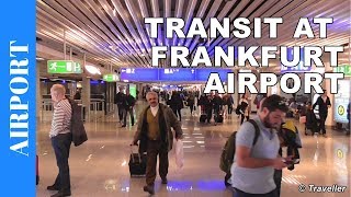 TRANSIT WALK AT FRANKFURT Airport FRA Terminal 1  Connection Flight Transfer Arriving amp Departing [upl. by Deck361]